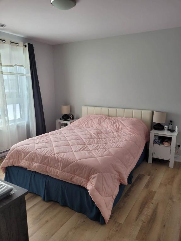 Logement 4 et demi a louer | 3000027