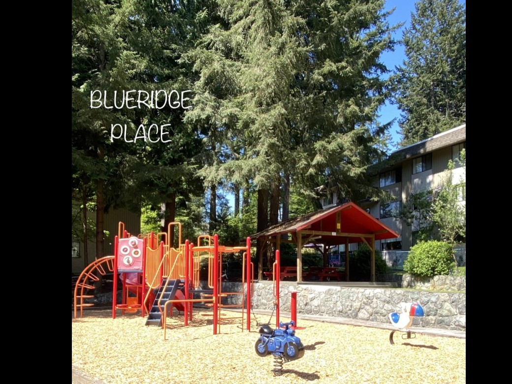 Blueridge Apartments | 3000262