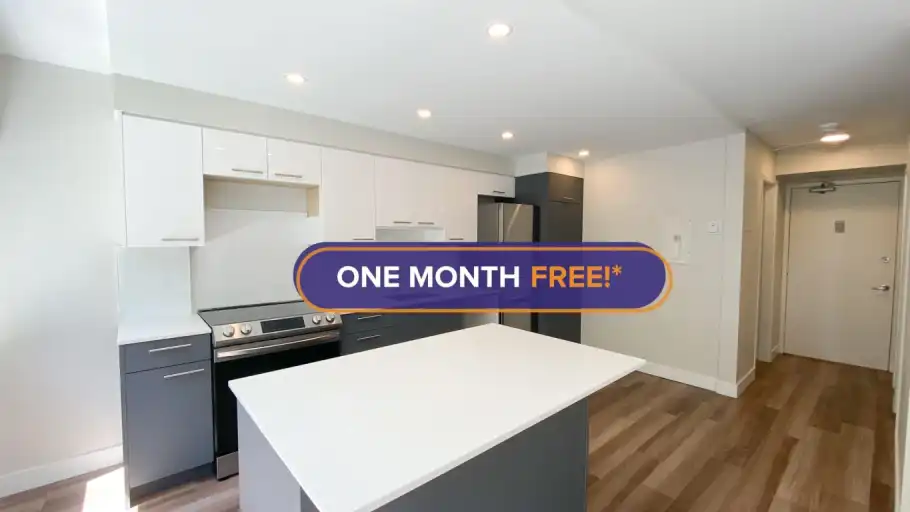 1461 Harwood | 1461 Harwood Street, Vancouver | 3000316