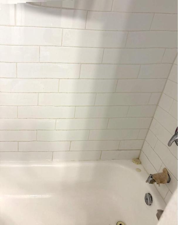 1 CH - 1 SDB - Gatineau - $1,445 /mo | 3000488