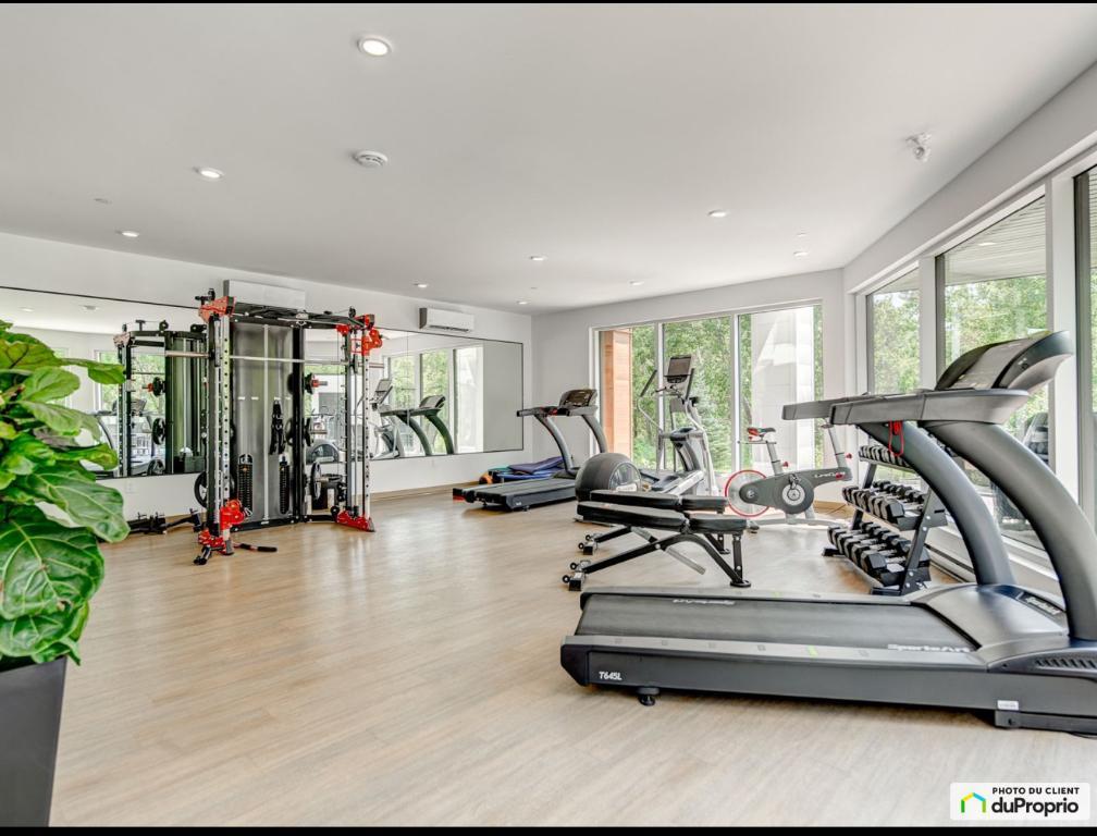 Appartement de 1 chambre et 1 salle de bain | 3000503