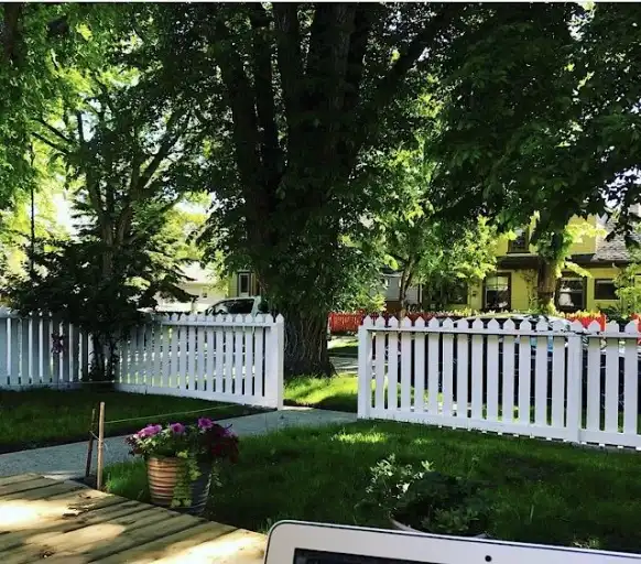 Basement Suite in Bridgeland, Pets OK | 411 8 St NE, Calgary | 3000753