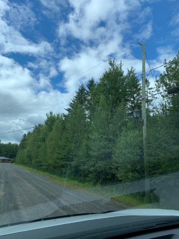Terrain à vendre à St-Louis-de-Blandford | 3023232