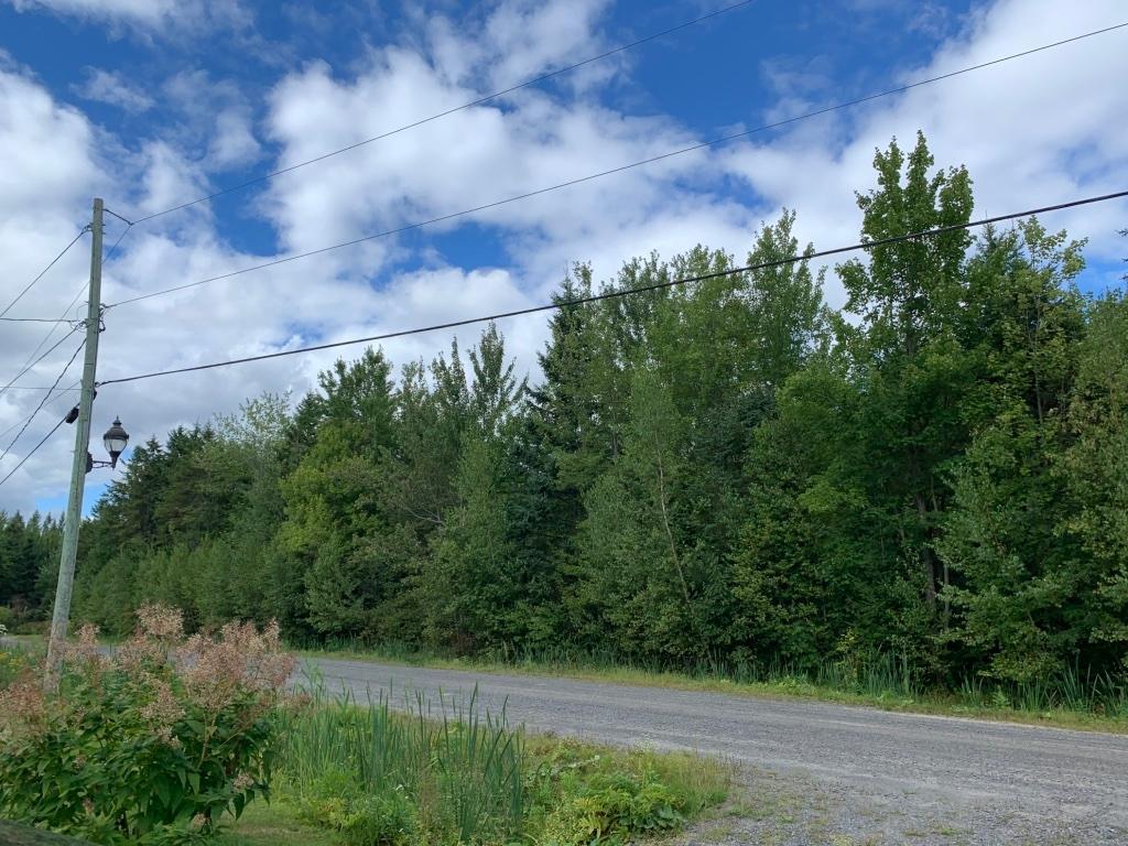 Terrain à vendre à St-Louis-de-Blandford | 3023232