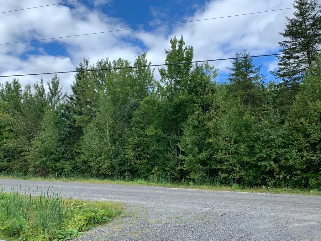 Terrain à vendre à St-Louis-de-Blandford | 3023232