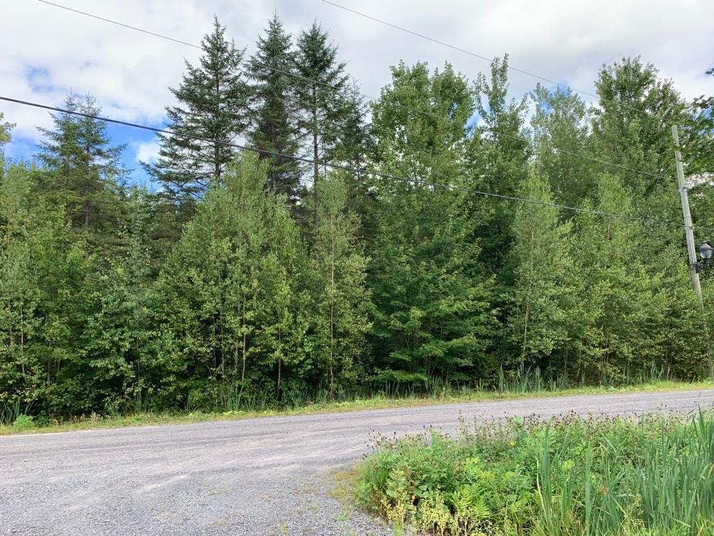 Terrain à vendre à St-Louis-de-Blandford | 3023232