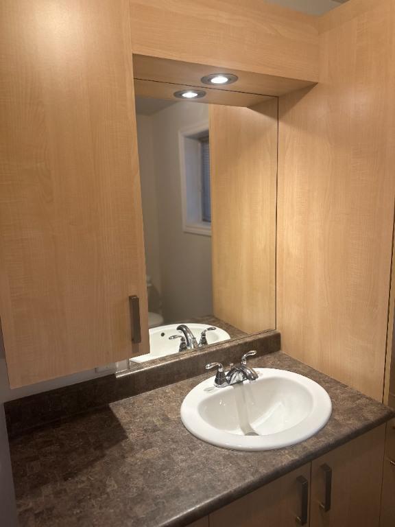 Beau 3 ½ à louer – demi-sous-sol, entrée laveuse-sécheuse – Saint-Amable | 3001673