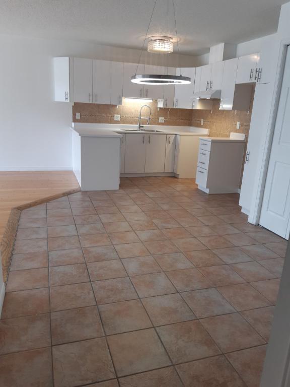 Grand 4 1/2 près du Parc de la Cité , Saint-Hubert | 3003664
