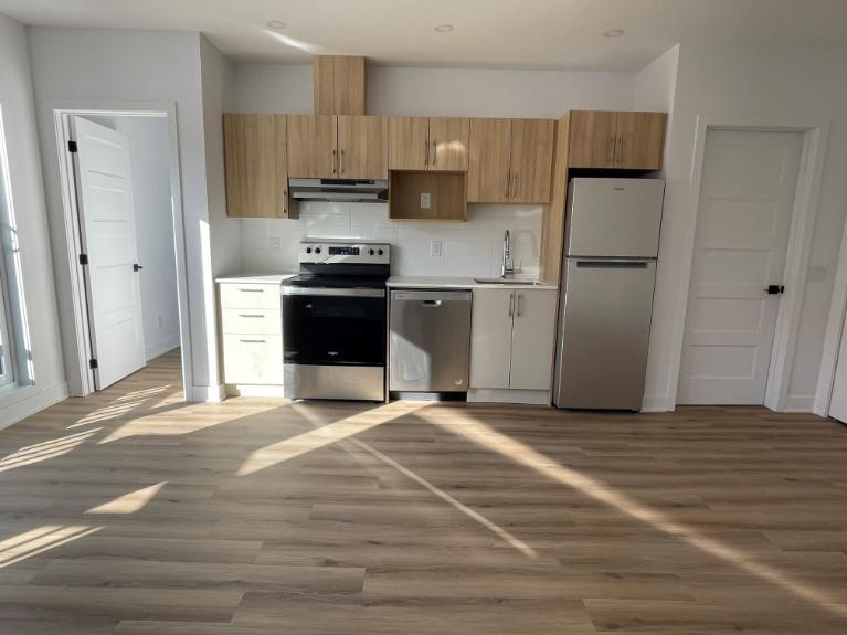 Neuf 5 1/2, électros et internet inclus! 6180 Vanier | 3003951
