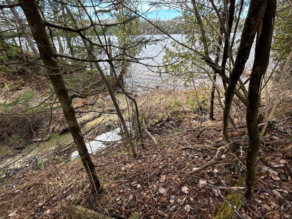 Terrain bord de l’eau avec plage privée | 3025772