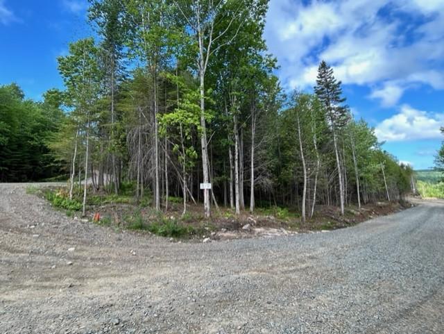 TERRAINS, ST-ALEXIS DES MONTS | 3029455