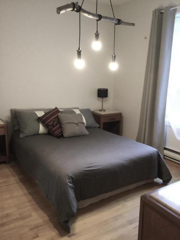 4 1/2 - Montréal (Hochelaga / Maisonneuve) - 1 480 $/mois | 3008850