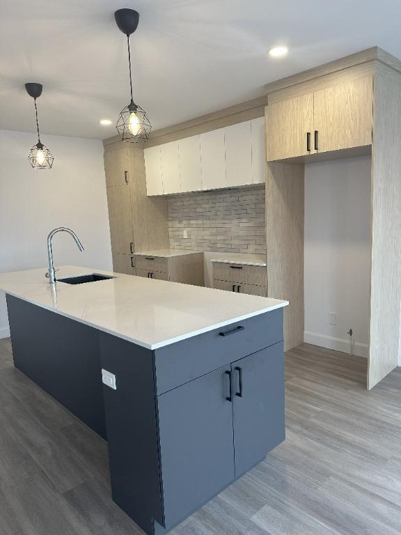 St-Hyacinthe, Logement à louer LIBRE IMMÉDIATEMENT (voir inclusions) | 3030850