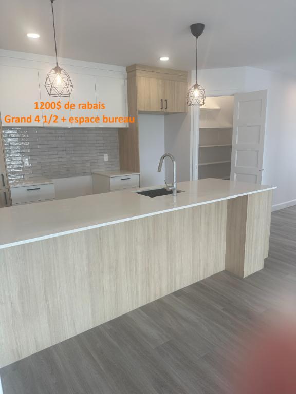 St-Hyacinthe, Logement à louer LIBRE IMMÉDIATEMENT (voir inclusions) | 3031114