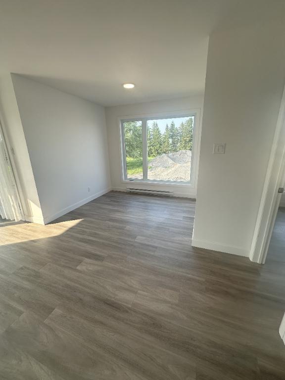 St-Hyacinthe, Logement à louer LIBRE IMMÉDIATEMENT (voir inclusions) | 3031114