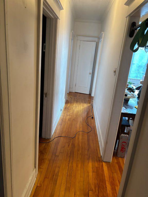 WESTMOUNT ADJ. 5 1-2. 1200 PIEDS CARRE ,GRAND LOGEMENT ,HAUT PLAFOND DE 9 PIEDS HAUTEUR 3 CHAMBRES INCLUANT ENTREE DE LAVEUSE ET SECHEUSE | 3010451