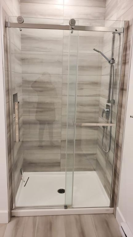 Appartement 4 1/2 | 3012031