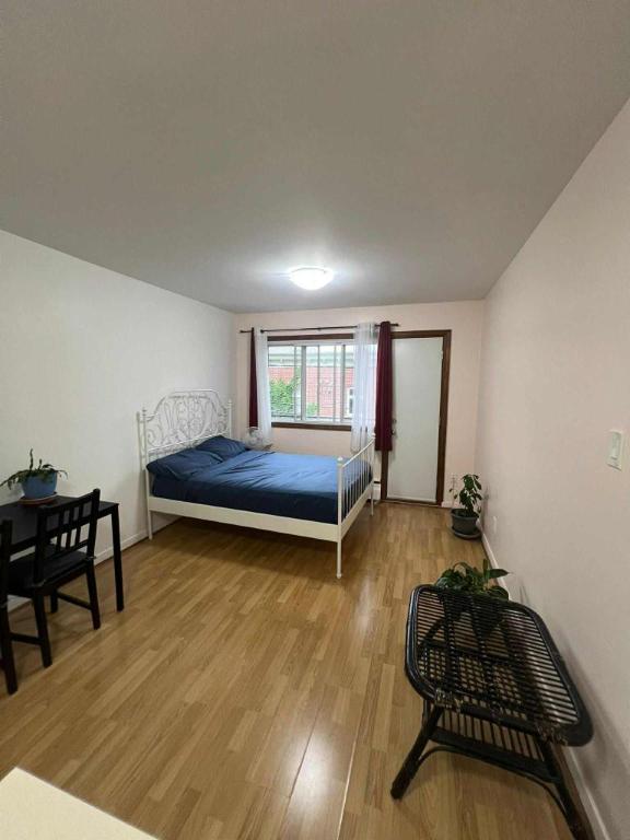 1 1/2 - Montréal (Le Plateau Mont-Royal) - 1 150 $/mois | 3015239