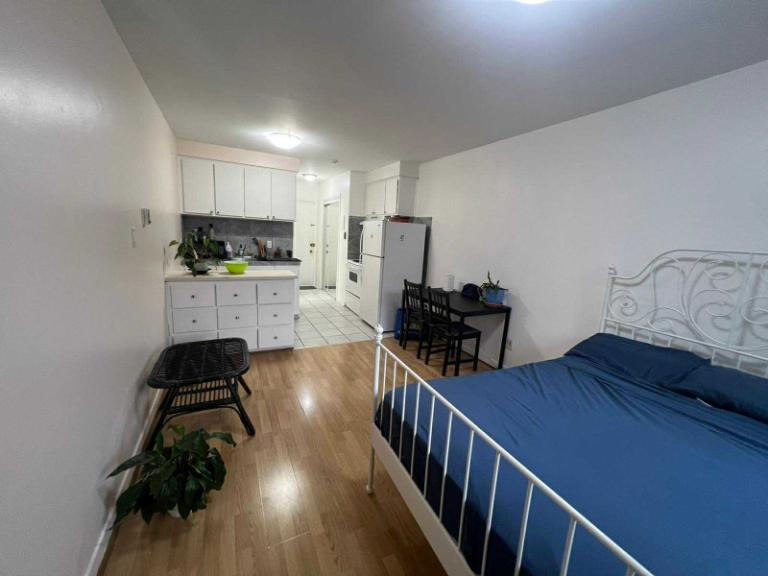 1 1/2 - Montréal (Le Plateau Mont-Royal) - 1 150 $/mois | 3015239