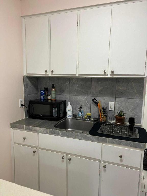 1 1/2 - Montréal (Le Plateau Mont-Royal) - 1 150 $/mois | 3015239