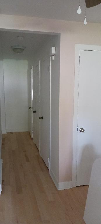 Logement à louer 3 1/2 | 3013536