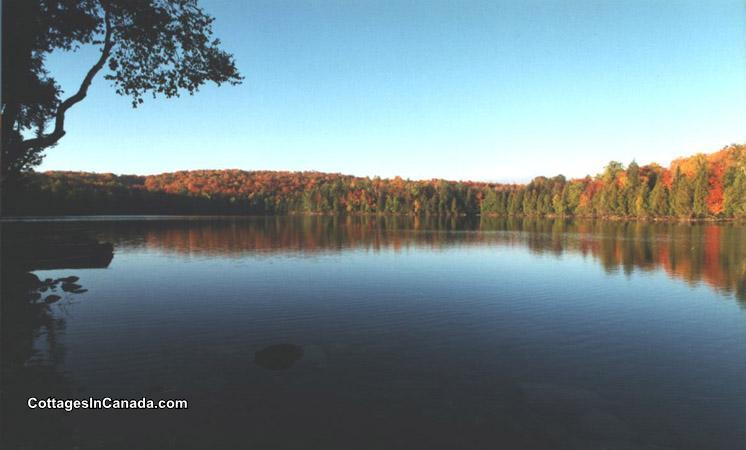 Hector Lake | 3013809