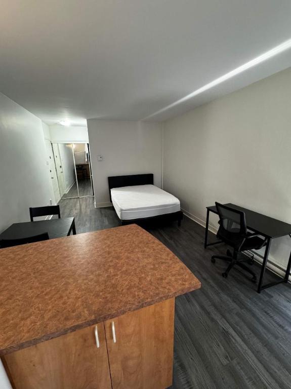 Studio au Centre-Ville près de l'université McGill | 3013815
