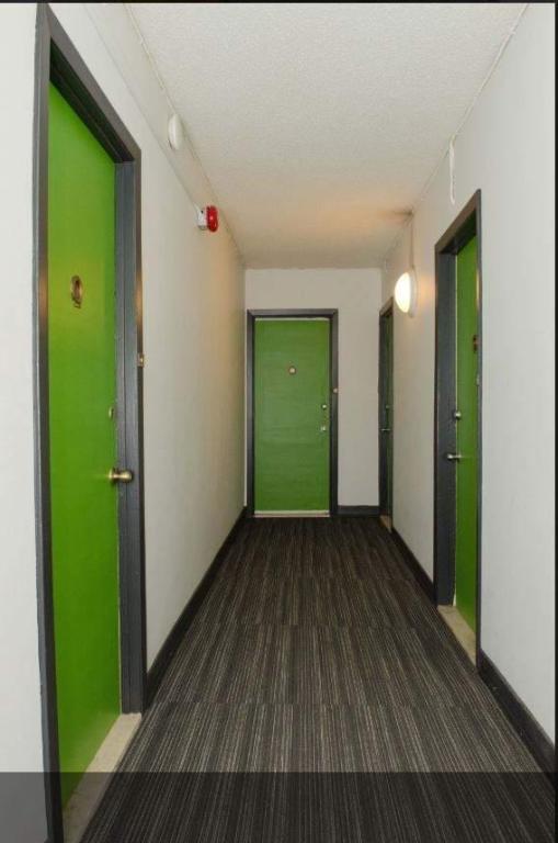 GHETTO MCGILL- STUDIO RENOVÉ & MEUBLÉ- EMPLACEMENT EXCEPTIONNEL | 3014073