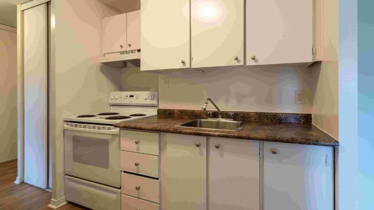 1 CH - 1 SDB - Gatineau - $1,445 /mo | 3014083