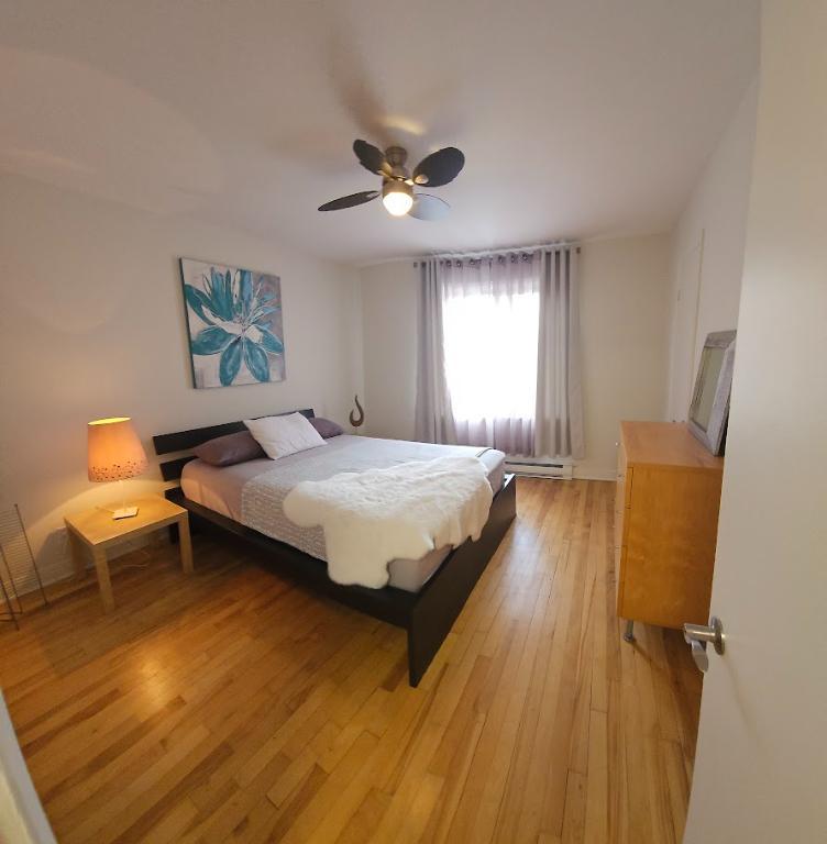 Magnifique 4 1/2 ( 2 chambres) à louer MEUBLÉ | 3014281