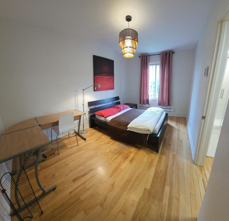 Magnifique 4 1/2 ( 2 chambres) à louer MEUBLÉ | 3014281