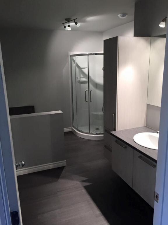 4 1/2 À LOUER (ST-DENIS-DE-BROMPTON) | 3015231