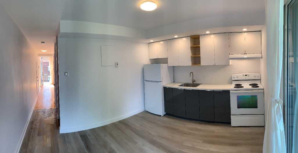 APPARTEMENT STYLE LOFT | CUISINE RÉNOVÉ | VILLERAY | 3015233