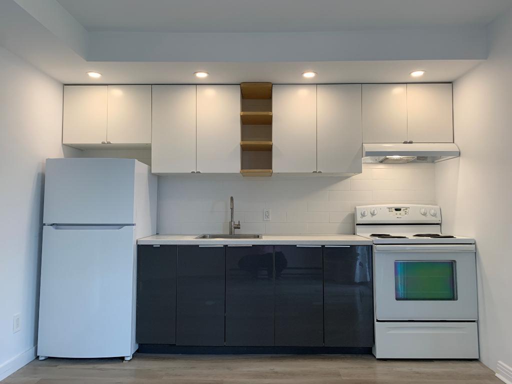 APPARTEMENT STYLE LOFT | CUISINE RÉNOVÉ | VILLERAY | 3015233