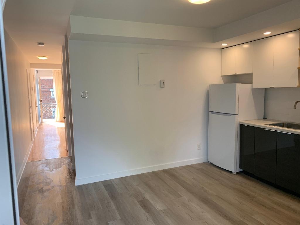 APPARTEMENT STYLE LOFT | CUISINE RÉNOVÉ | VILLERAY | 3015233