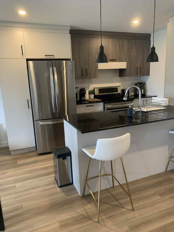 Magnifique 3 1/2 à louer à Joliette (animaux acceptés) | 3038200