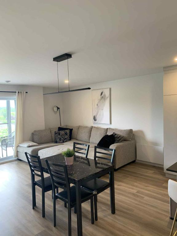 Magnifique 3 1/2 à louer à Joliette (animaux acceptés) | 3038200