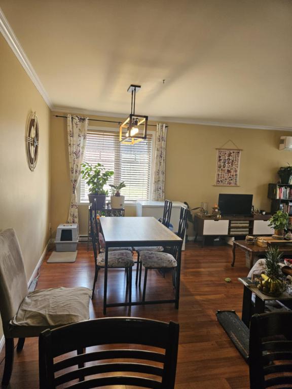 Appartement style condo à louer (5 1/2) pour Octobre ou Novembre | 3015249