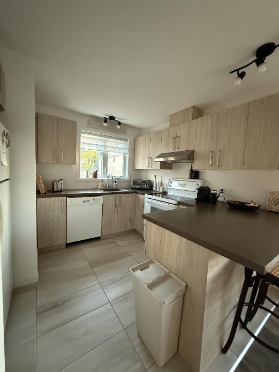 Appartement 4 1/2 à Ste-Foy | 3060095