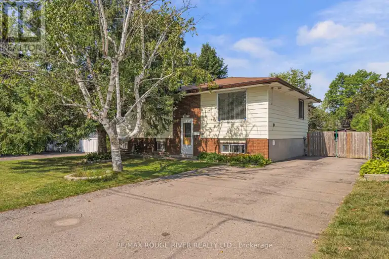 MAIN - 599 OTONABEE DRIVE | MAIN - 599 OTONABEE DRIVE, Peterborough | 3038861