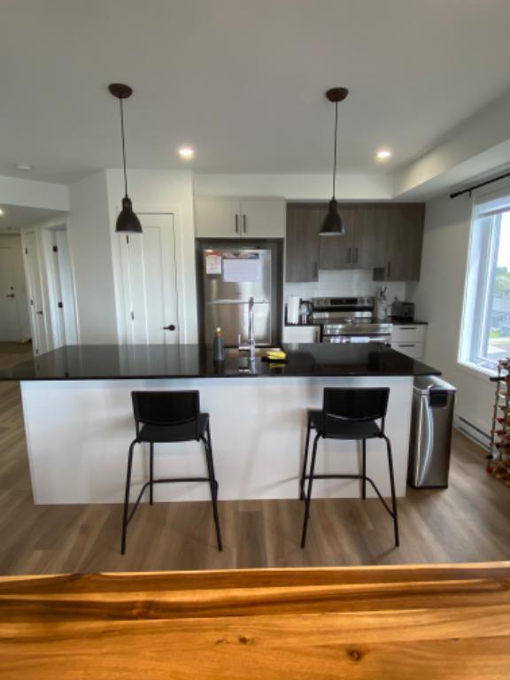 Appartement 4 1/2 *Animaux acceptés | 3016195