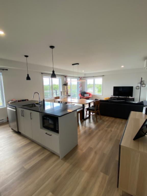 Appartement 4 1/2 *Animaux acceptés | 3016195