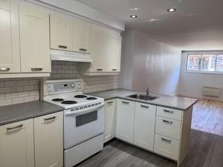 3 1/2 - Montréal (Rosemont) - 1 175 $/mois | 3017307