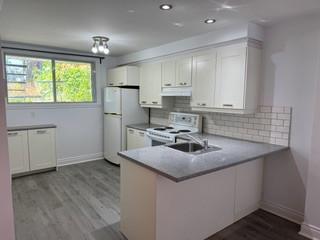 3 1/2 - Montréal (Rosemont) - 1 175 $/mois | 3017307