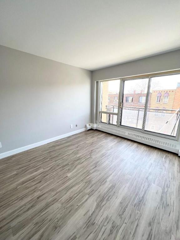 Studio - Montréal - $1,060 /mo | 3017315