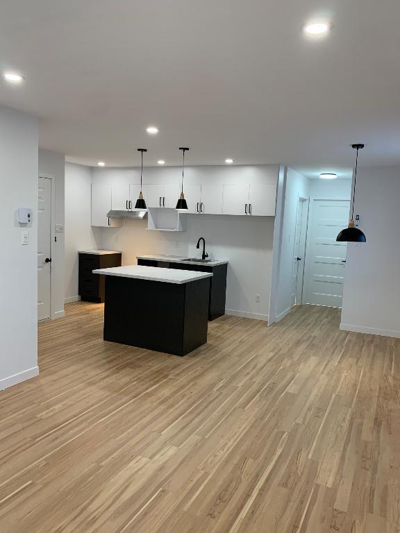 Logement 3 1/2 rénové à neuf disponible | 3019386