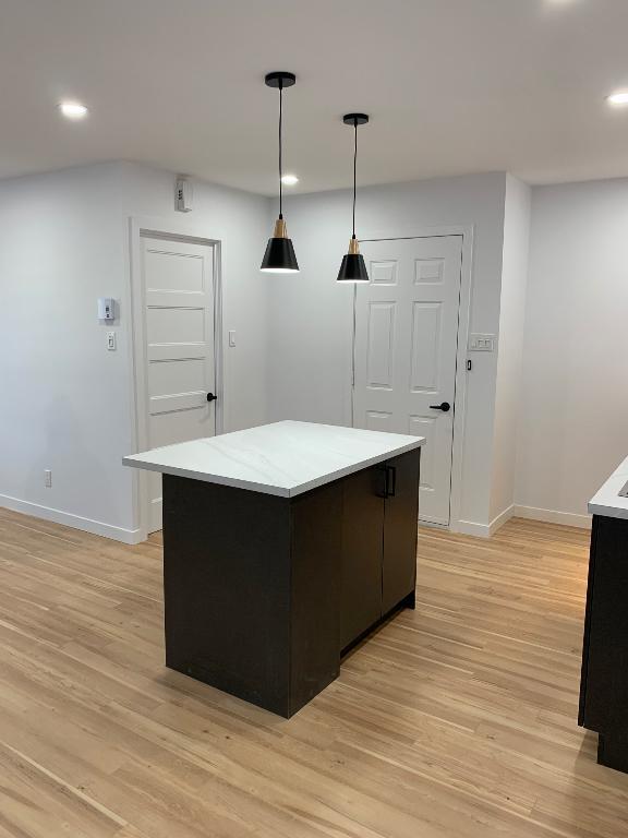 Logement 3 1/2 rénové à neuf disponible | 3019386