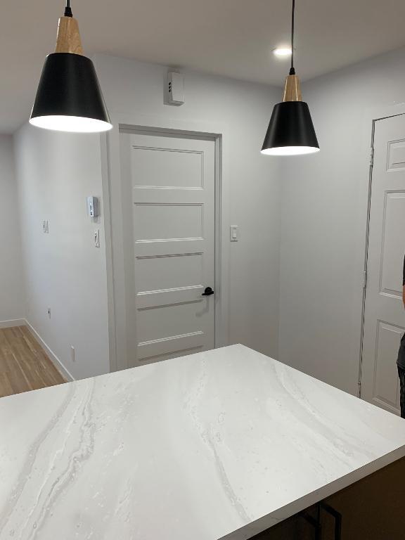 Logement 3 1/2 rénové à neuf disponible | 3019386