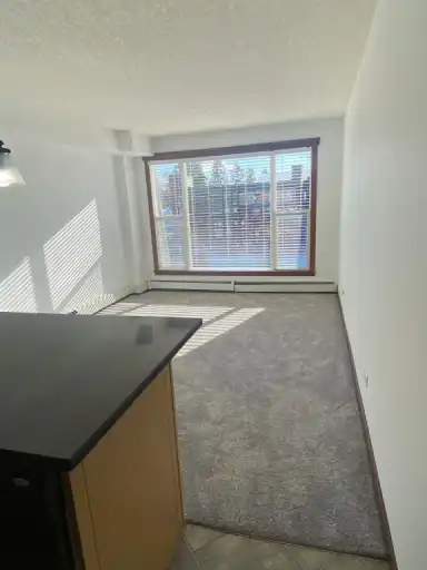 Top Floor, South Facing, One Bedroom Apartment - Kingsland | 308 - 920 68 Avenue Southwest, Calgary | 3017671