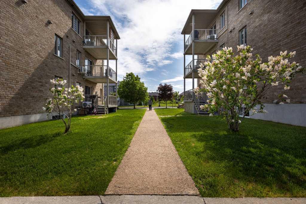 4 1/2 à louer Lévis centre-ville | 3017768